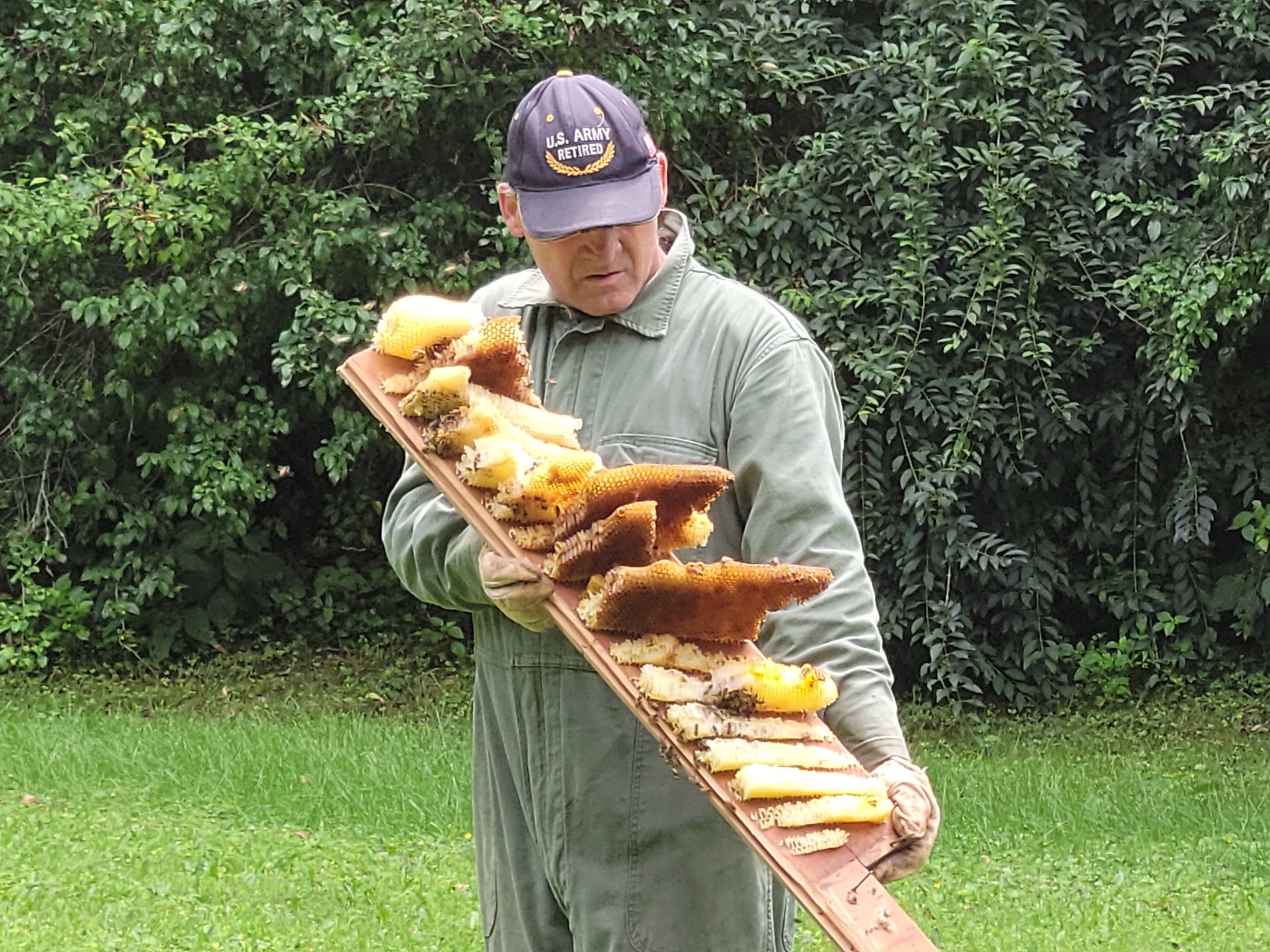 Beekeeping Mentorship Program