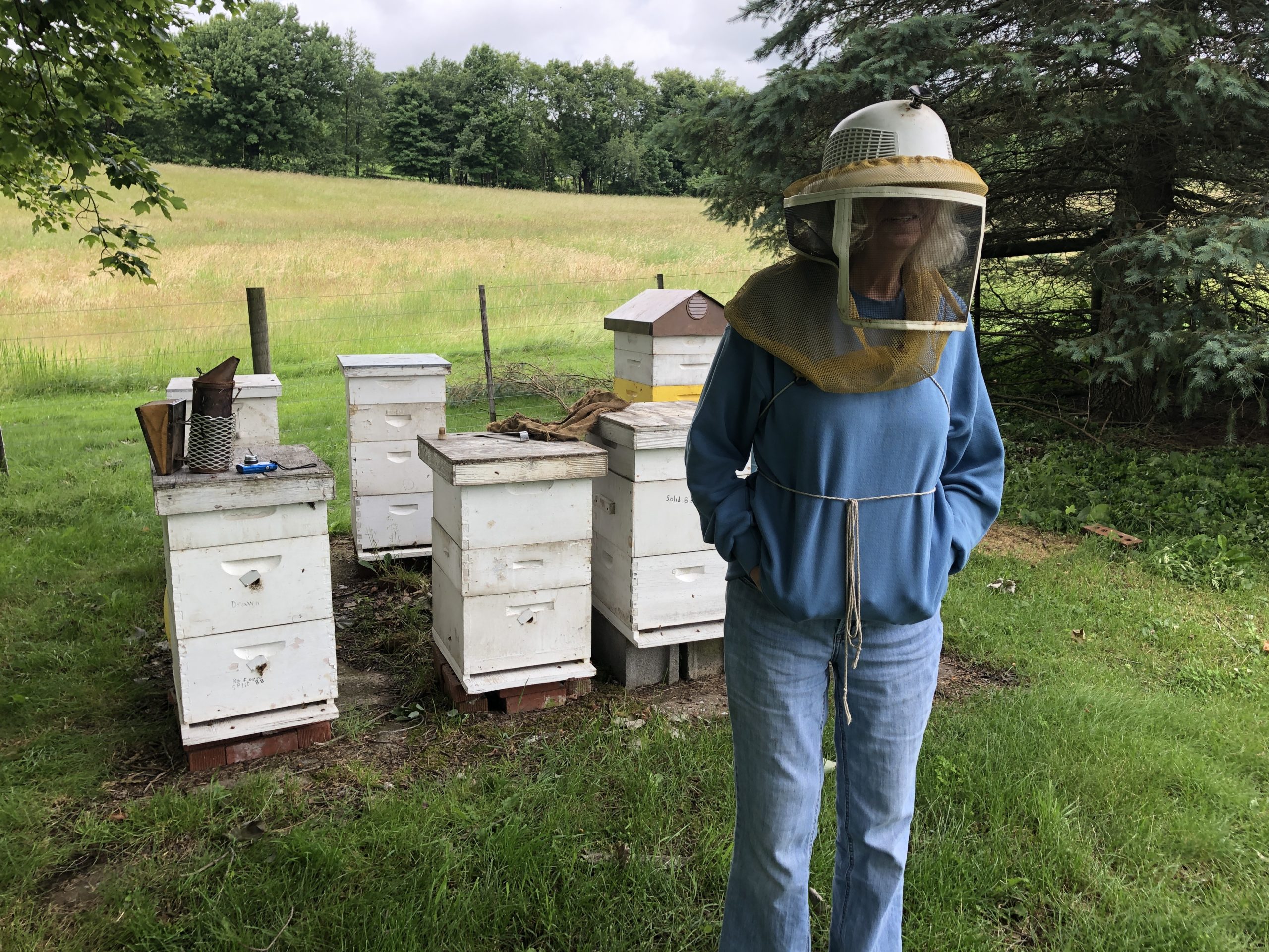 beekeeper-mentorship-program Friedens Beekeeping Mentorship Program
